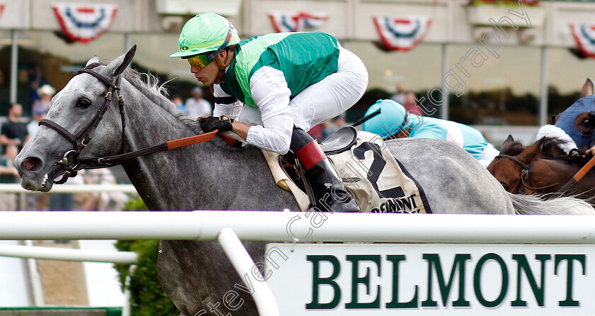 Significant-Form-0003 
 SIGNIFICANT FORM (Irad Ortiz) wins The Intercontinental Stakes
Belmont Park USA 6 Jun 19 - Pic Steven Cargill / Racingfotos.com