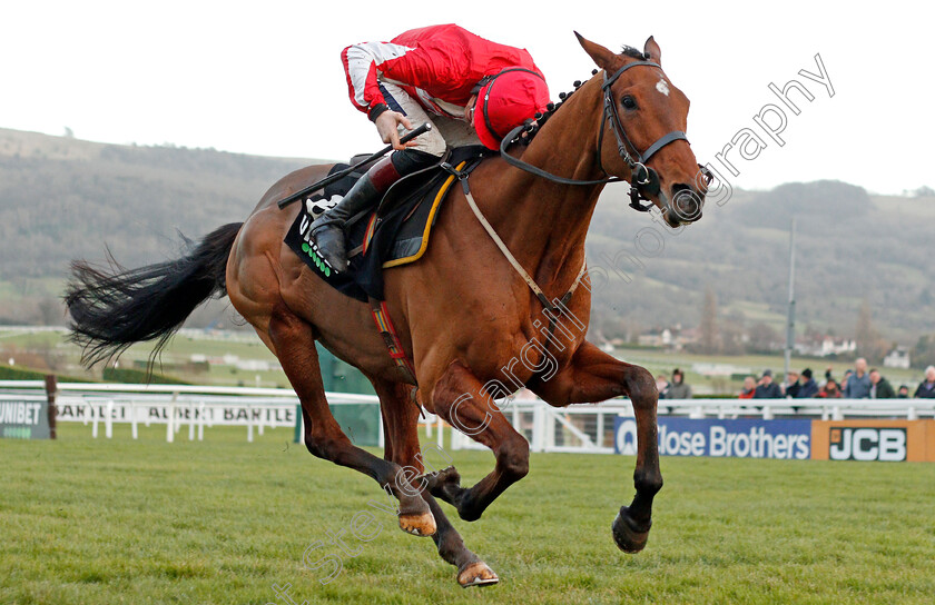 Ballyandy-0003 
 BALLYANDY (Sam Twiston-Davies)
Cheltenham 14 Dec 2019 - Pic Steven Cargill / Racingfotos.com