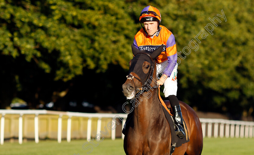 The-Thames-Boatman-0001 
 THE THAMES BOATMAN (Finley Marsh)
Newmarket 9 Aug 2024 - Pic Steven Cargill / Racingfotos.com