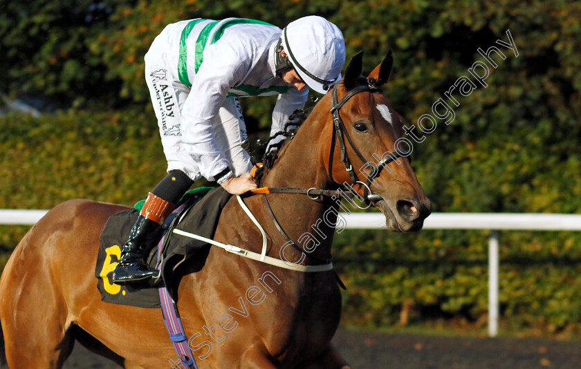 Madame-Sans-Gene-0001 
 MADAME SANS GENE (Rossa Ryan)
Kempton 6 Sep 2024 - Pic Steven Cargill / Racingfotos.com