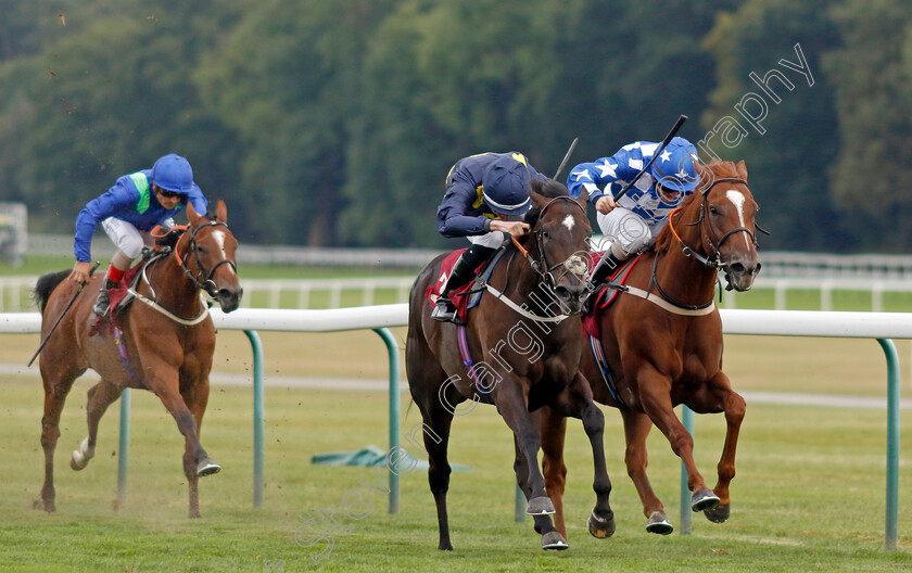 Rose-Fandango-0005 
 ROSE FANDANGO (right, Kieran O'Neill) beats TROIS VALLEES (2nd right) in The Watch Racing TV Fillies Handicap
Haydock 2 Sep 2022 - Pic Steven Cargill / Racingfotos.com