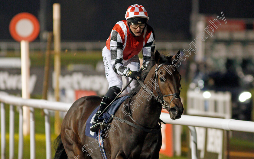 Emperor-Spirit-0004 
 EMPEROR SPIRIT (Robert Havlin) wins The Get Your Ladbrokes Daily Odds Boost EBF Novice Stakes
Wolverhampton 5 Dec 2020 - Pic Steven Cargill / Racingfotos.com