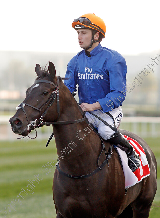 Top-Score-0001 
 TOP SCORE (Oisin Murphy) Meydan 10 Mar 2018 - Pic Steven Cargill / Racingfotos.com