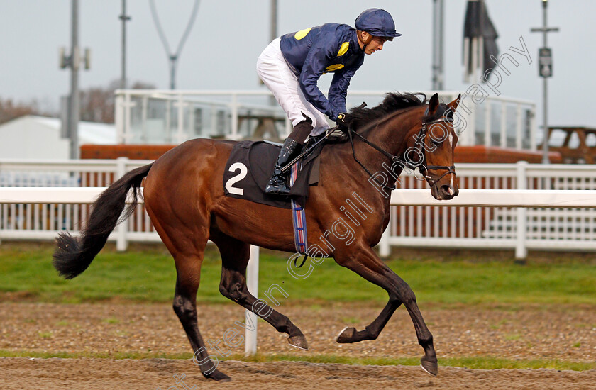 A-Star-Above-0002 
 A STAR ABOVE (James Doyle)
Chelmsford 25 Nov 2019 - Pic Steven Cargill / Racingfotos.com