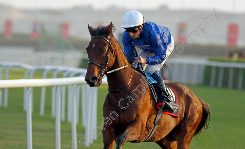 Zakouski-0002 
 ZAKOUSKI (William Buick)
Sakhir Racecourse, Bahrain 19 Nov 2021 - Pic Steven Cargill / Racingfotos.com