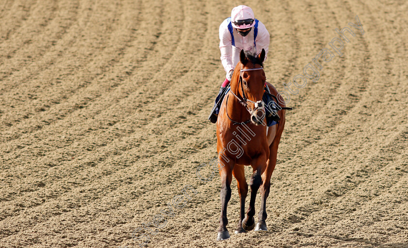 Summit-Fever-0001 
 SUMMIT FEVER (Oisin Murphy) winner of The Betway Maiden Stakes
Lingfield 5 Aug 2020 - Pic Steven Cargill / Racingfotos.com