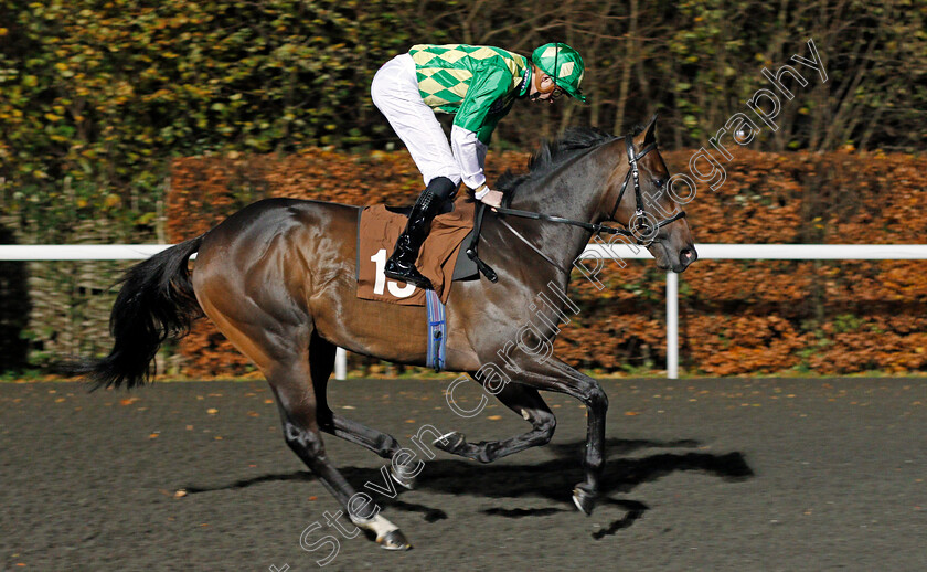 Second-Thought-0001 
 SECOND THOUGHT (James Doyle) winner of The British Stallion Studs EBF Hyde Stakes Kempton 22 Nov 2017 - Pic Steven Cargill / Racingfotos.com