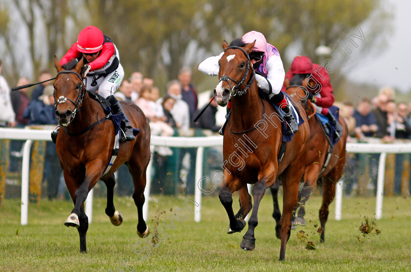 Tolstoy-0004 
 TOLSTOY (right, Martin Harley) beats CROUPIER (left) in The British Stallion Studs EBF Novice Stakes
Yarmouth 19 May 2021 - Pic Steven Cargill / Racingfotos.com