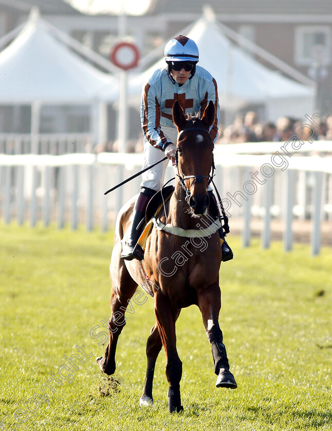 Katpoli-0001 
 KATPOLI (Sam Twiston-Davies)
Cheltenham 17 Nov 2018 - Pic Steven Cargill / Racingfotos.com