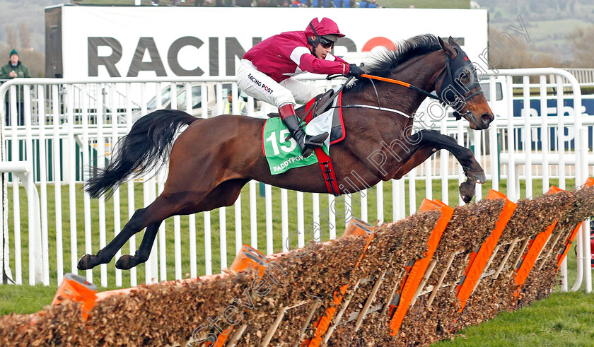 Apple s-Jade-0001 
 APPLE'S JADE (Richard Johnson)
Cheltenham 12 Mar 2020 - Pic Steven Cargill / Racingfotos.com