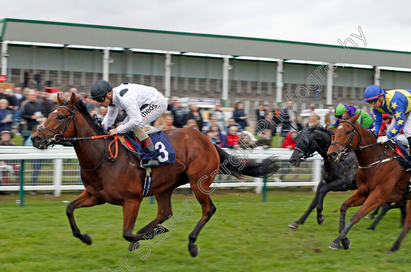 Sentinel-0003 
 SENTINEL (Stevie Donohoe) wins The John Kemp 4 x 4 Centre Of Norwich Handicap Yarmouth 24 Oct 2017 - Pic Steven Cargill / Racingfotos.com