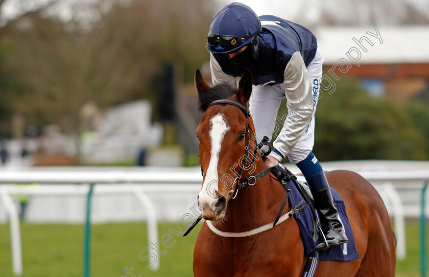 Rohaan-0001 
 ROHAAN (Darragh Keenan)
Lingfield 19 Feb 2021 - Pic Steven Cargill / Racingfotos.com