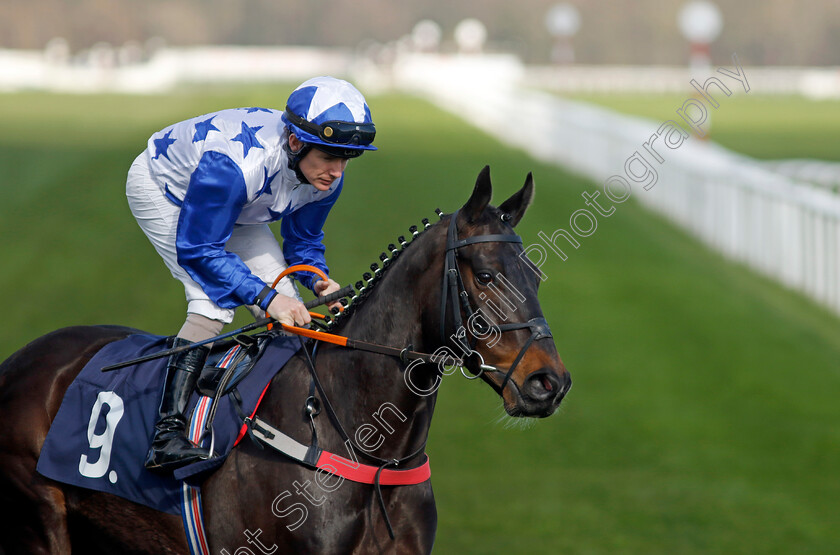 Conservative-0001 
 CONSERVATIVE (Kieran O'Neill)
Doncaster 2 Apr 2023 - Pic Steven Cargill / Racingfotos.com