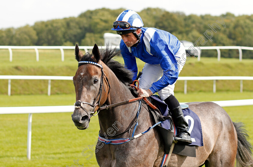 Katheefa-0001 
 KATHEEFA (Dane O'Neill) winner of The Network Productions Maiden Stakes Chepstow 6 Sep 2017 - Pic Steven Cargill / Racingfotos.com