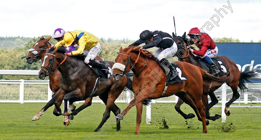 Reverend-Jacobs-0001 
 REVEREND JACOBS (left, Ryan Moore) beats HANG MAN (right) in The Garden For All Seasons Maiden Stakes Ascot 8 Sep 2017 - Pic Steven Cargill / Racingfotos.com