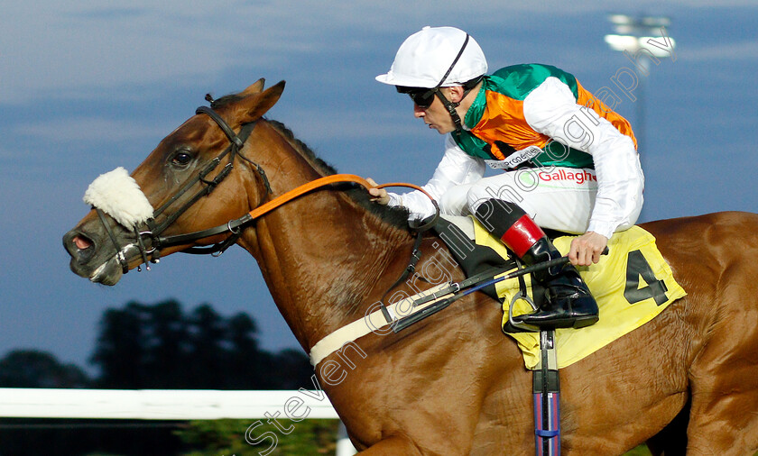 Vis-A-Vis-0004 
 VIS A VIS (Shane Kelly) wins The 32Red.com Handicap
Kempton 8 Aug 2018 - Pic Steven Cargill / Racingfotos.com