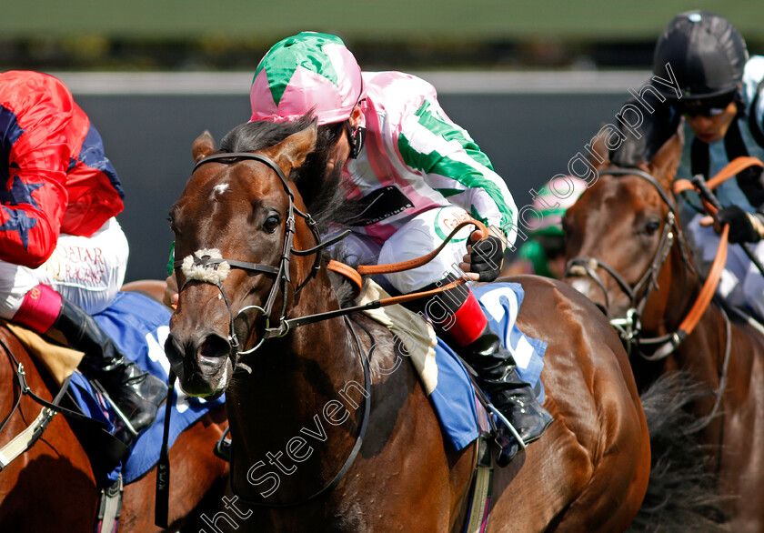 Boafo-Boy-0005 
 BOAFO BOY (Shane Kelly) wins The Byerley Stud British EBF Novice Stakes Div1
Salisbury 11 Aug 2021 - Pic Steven Cargill / Racingfotos.com