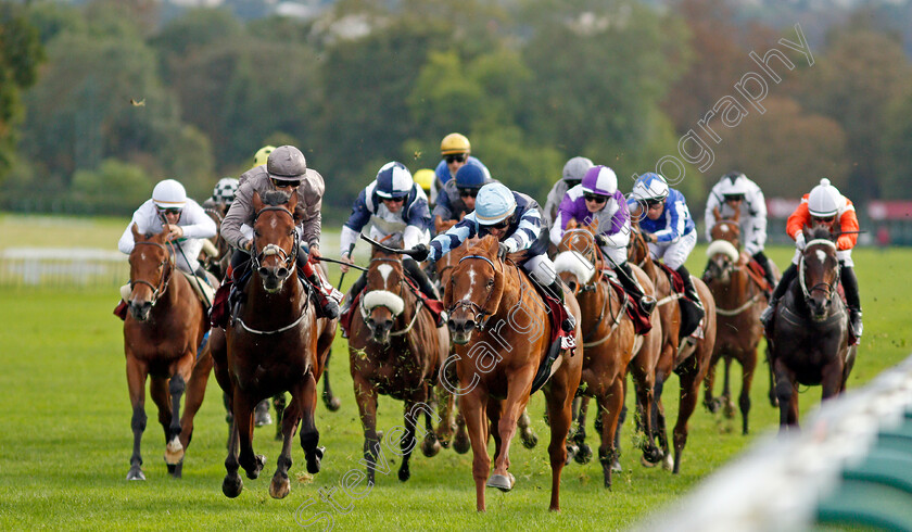 A-Case-Of-You-0002 
 A CASE OF YOU (left, Ronan Whelan) beats AIR DE VALSE (right) in The Prix de L'Abbaye de Longchamp
Longchamp 3 Oct 2021 - Pic Steven Cargill / Racingfotos.com