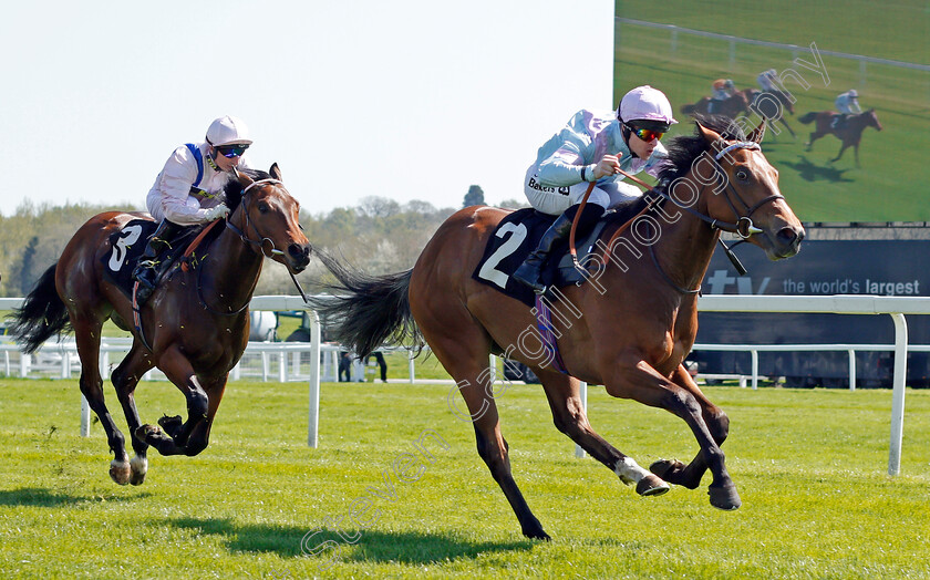 Dave-Dexter-0003 
 DAVE DEXTER (Richard Kingscote) beats GLORY FIGHTER (left) in The Dreweatts Newcomers EBF Maiden Stakes Newbury 20 Apr 2018 - Pic Steven Cargill / Racingfotos.com