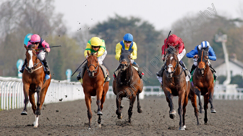 Kings-Shield-0004 
 KINGS SHIELD (2nd right, Oisin Murphy) beats ONE COOL DADDY (2nd left), LAWN RANGER (left), JELLMOOD (centre) and RAJAAM (right) in The Betfred Like Us On Facebook Stakes Kempton 7 Apr 2018 - Pic Steven Cargill / Racingfotos.com