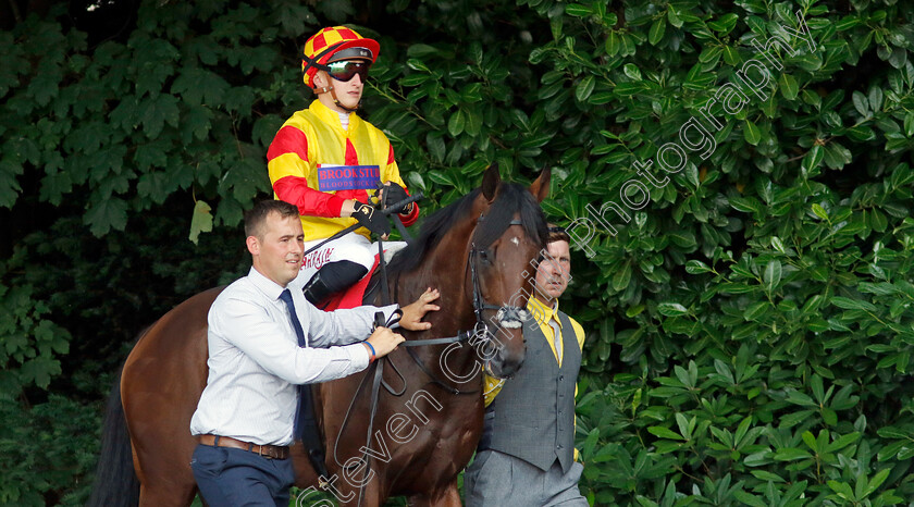 Savvy-Victory-0010 
 SAVVY VICTORY (Tom Marquand) winner of The Davies Insurance Solutions Gala Stakes
Sandown 7 Jul 2023 - Pic Steven Cargill / Racingfotos.com