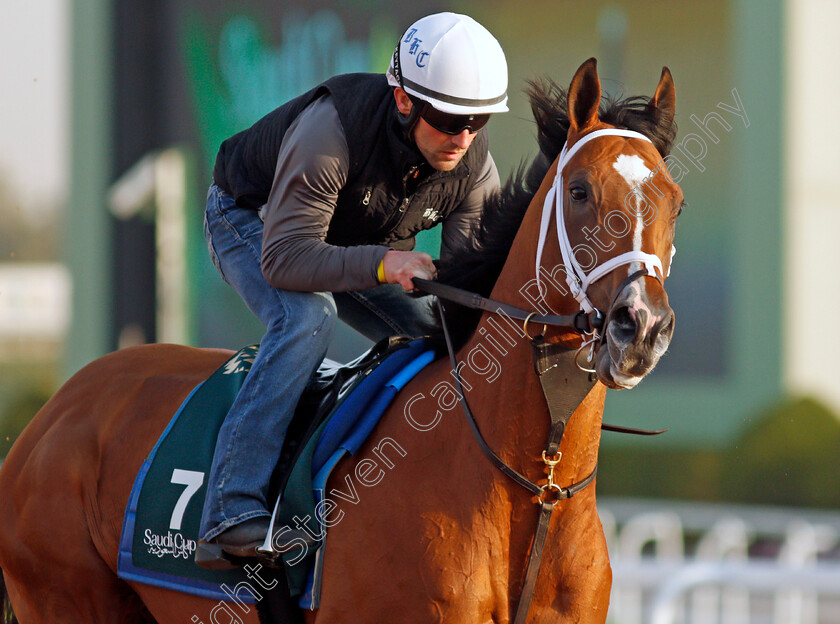 Mandaloun-0007 
 MANDALOUN training for the Saudi Cup
King Abdulaziz Racetrack, Riyadh, Saudi Arabia 24 Feb 2022 - Pic Steven Cargill / Racingfotos.com