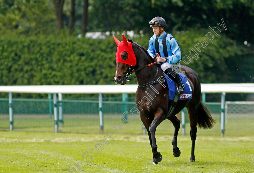 Asfoora-0002 
 ASFOORA (Mitchell Aitken) goes to post for the Temple Stakes
Haydock 25 May 2024 - Pic Steven Cargill / Racingfotos.com