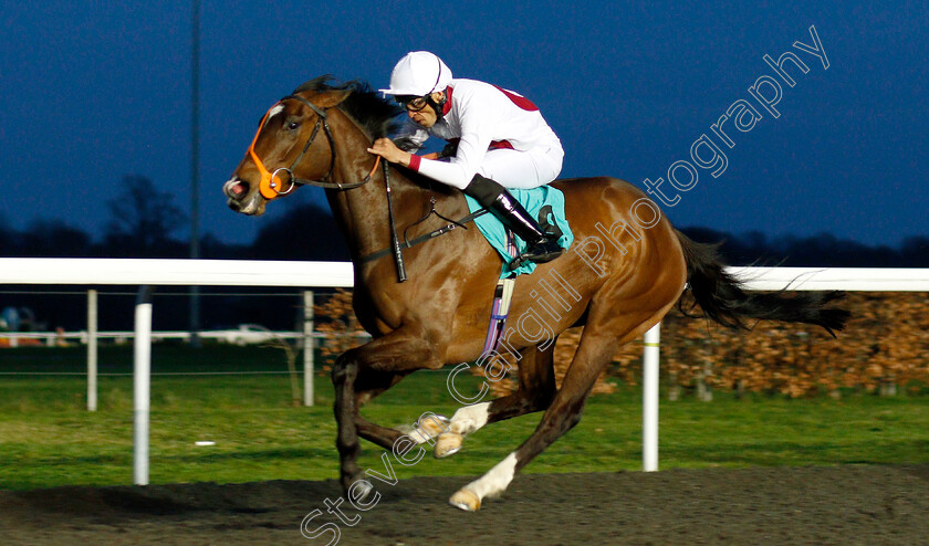 Star-Of-War-0005 
 STAR OF WAR (Sean Levey) wins The 32Red On The App Store Fillies Novice Stakes Div1
Kempton 23 Mar 2019 - Pic Steven Cargill / Racingfotos.com