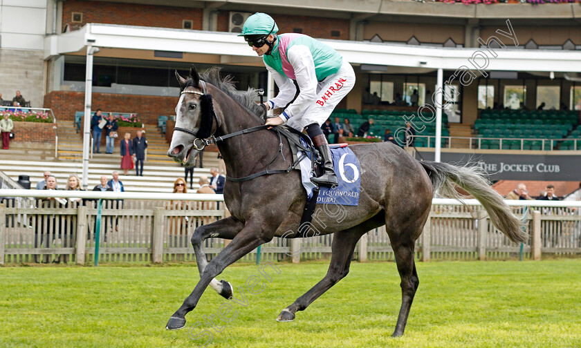 Crenelle-0001 
 CRENELLE (Robert Havlin)
Newmarket 23 Sep 2022 - Pic Steven Cargill / Racingfotos.com