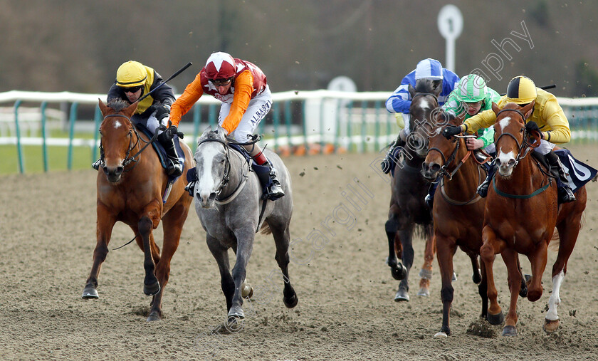 Lincoln-Spirit-0001 
 LINCOLN SPIRIT (2nd left, Adam Kirby) beats DELAGATE THE LADY (left) and YFENNI (right) in The Ladbrokes Home Of The Odds Boost Handicap
Lingfield 18 Jan 2019 - Pic Steven Cargill / Racingfotos.com