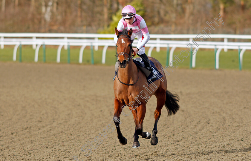 Mist-Of-The-Deep-0002 
 MIST OF THE DEEP (Tyler Heard)
Lingfield 5 Feb 2022 - Pic Steven Cargill / Racingfotos.com