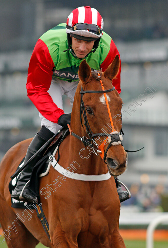 Definitly-Red-0001 
 DEFINITLY RED (Danny Cook) Aintree 12 Apr 2018 - Pic Steven Cargill / Racingfotos.com