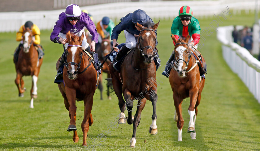 Temple-Of-Artemis-0005 
 TEMPLE OF ARTEMIS (centre, Ryan Moore) beats MR ALAN (left) in The Roofing Consultants Group Handicap
Chester 5 May 2022 - Pic Steven Cargill / Racingfotos.com