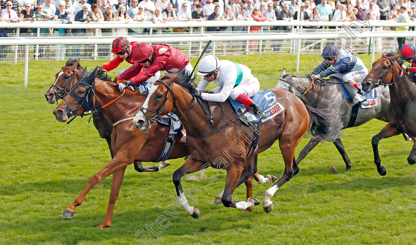 Tamreer-0004 
 TAMREER (left, Ben Curtis) beats CORELLI (right) in The Sky Bet Handicap
York 23 Aug 2019 - Pic Steven Cargill / Racingfotos.com