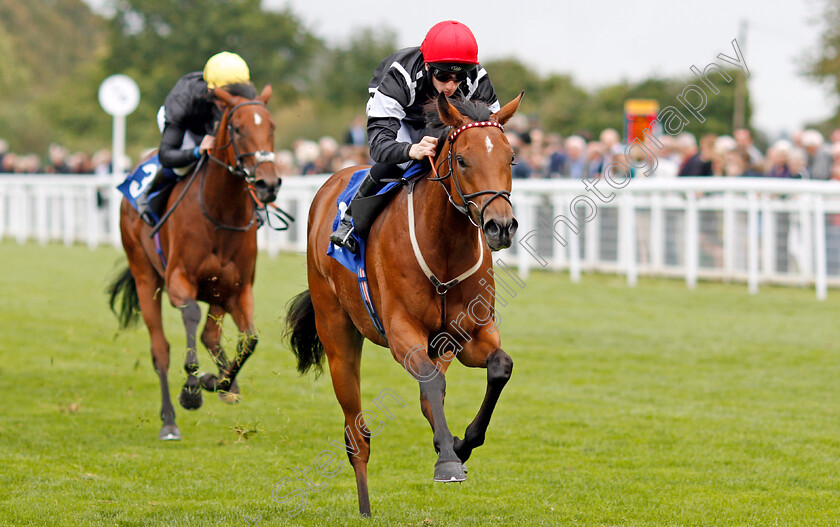 Herecomesthesun-0007 
 HERECOMESTHESUN (Edward Greatrex) wins The British EBF Quidhampton Maiden Fillies Stakes Div1 Salisbury 7 Sep 2017 - Pic Steven Cargill / Racingfotos.com