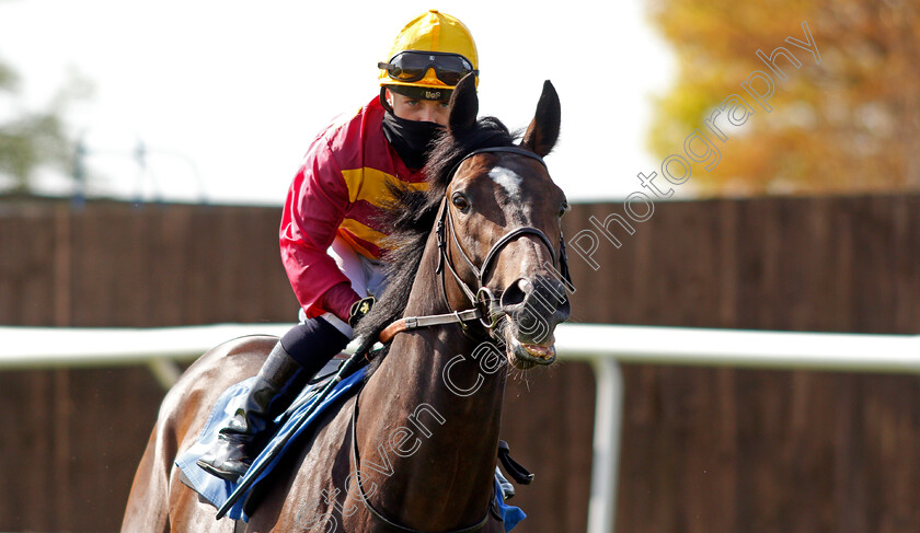 Jaramillo-0002 
 JARAMILLO (Hollie Doyle) winner of The Racecourse Live Streams On Racingtv Extra Novice Stakes
Leicester 24 Apr 2021 - Pic Steven Cargill / Racingfotos.com