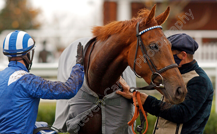 Zeyaadah-0010 
 ZEYAADAH (Jim Crowley) after winning The British Stallion Studs EBF Montrose Fillies Stakes
Newmarket 31 Oct 2020 - Pic Steven Cargill / Racingfotos.com