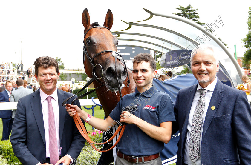 Berkshire-Blue-0014 
 BERKSHIRE BLUE after The Dubai Duty Free Shergar Cup Classic
Ascot 11 Aug 2018 - Pic Steven Cargill / Racingfotos.com