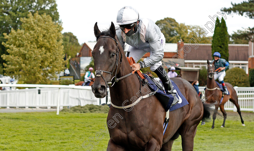 Bogeyman-0001 
 BOGEYMAN (P J McDonald)
Lingfield 26 Aug 2020 - Pic Steven Cargill / Racingfotos.com