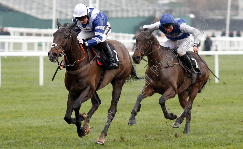 Frodon-0005 
 FRODON (Bryony Frost) wins The Caspian Caviar Gold Cup Handicap Chase
Cheltenham 15 Dec 2018 - Pic Steven Cargill / Racingfotos.com