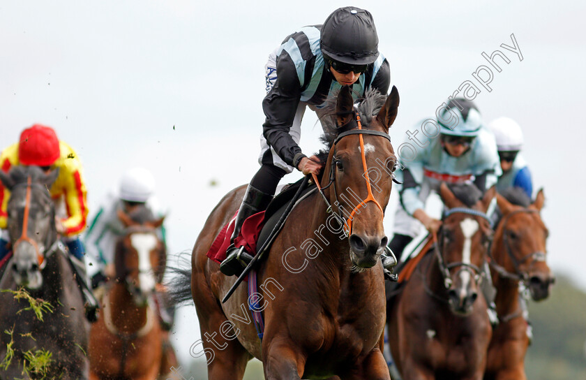 Fancy-Man-0008 
 FANCY MAN (Ryan Moore) wins The Betfair Exchange Ascendant Stakes
Haydock 5 Sep 2020 - Pic Steven Cargill / Racingfotos.com