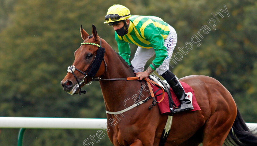 Lord-Oberon-0001 
 LORD OBERON (Clifford Lee)
Haydock 4 Sep 2020 - Pic Steven Cargill / Racingfotos.com