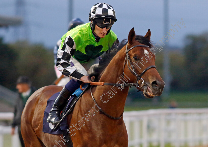 Calypso-0001 
 CALYPSO (Daniel Muscutt)
Southwell 4 Oct 2022 - Pic Steven Cargill / Racingfotos.com