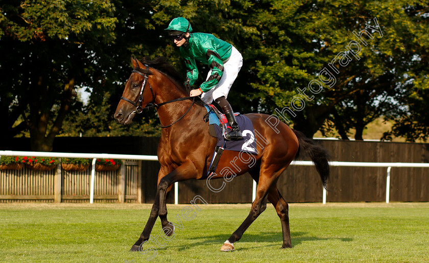 George-Villiers-0001 
 GEORGE VILLIERS (Robert Havlin) before winning The Fly London Sothend Airport To Lyon Handicap
Newmarket 20 Jul 2018 - Pic Steven Cargill / Racingfotos.com