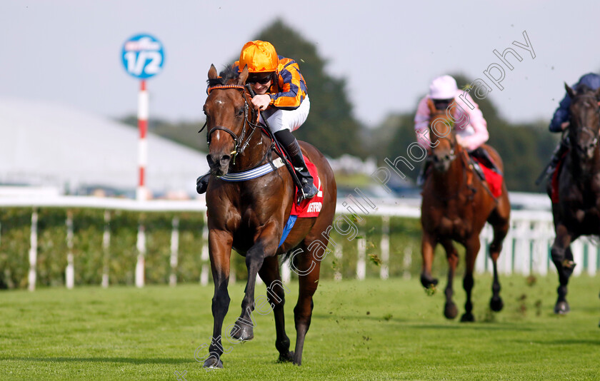 Dancing-Gemini-0004 
 DANCING GEMINI (Lewis Edmunds) wins The Betfred Flying Scotsman Stakes
Doncaster 15 Sep 2023 - Pic Steven Cargill / Racingfotos.com