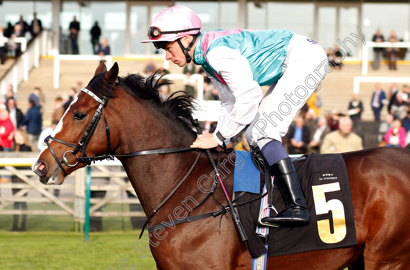 Gantier-0001 
 GANTIER (Kieran Shoemark)
Newmarket 24 Oct 2018 - Pic Steven Cargill / Racingfotos.com