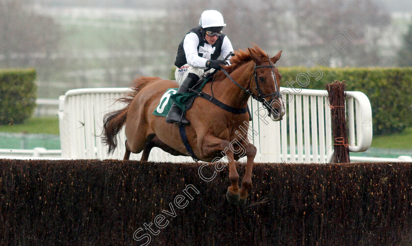 Yorkist-0001 
 YORKIST (Harry Skelton)
Cheltenham 15 Dec 2018 - Pic Steven Cargill / Racingfotos.com