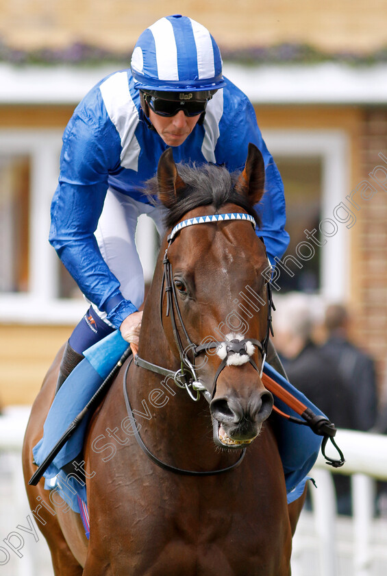 Minzaal-0001 
 MINZAAL (Jim Crowley)
York 11 May 2022 - Pic Steven Cargill / Racingfotos.com