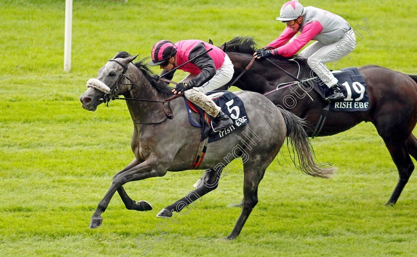 Big-Gossey-0004 
 BIG GOSSEY (Robert Whearty) wins The Irish Stallion Farms EBF Bold Lad Sprint Handicap
The Curragh 10 Sep 2023 - Pic Steven Cargill / Racingfotos.com