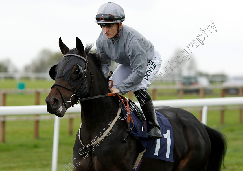 Summer-Blossom-0001 
 SUMMER BLOSSOM (Hollie Doyle) before winning The Octagon Consultancy EBF Novice Stakes
Bath 17 Oct 2018 - Pic Steven Cargill / Racingfotos.com